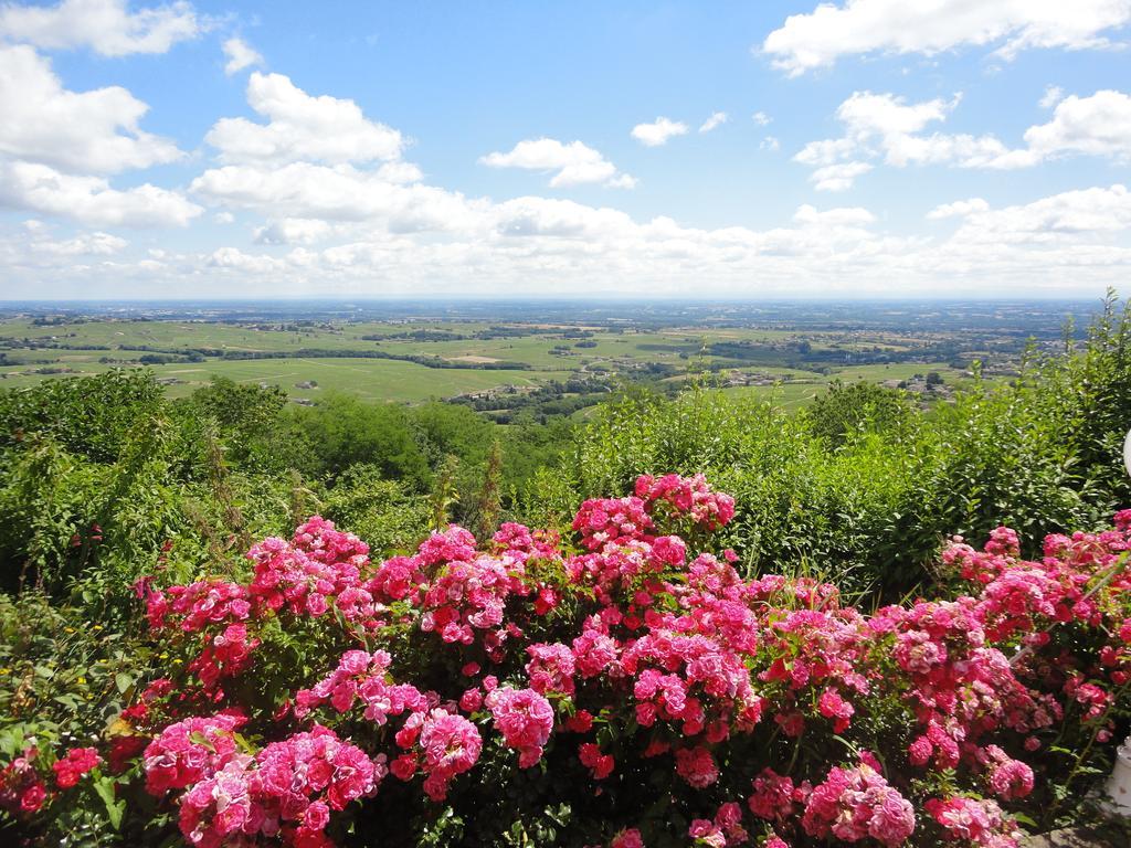 Auberge Les Hauts De Chenas Luaran gambar